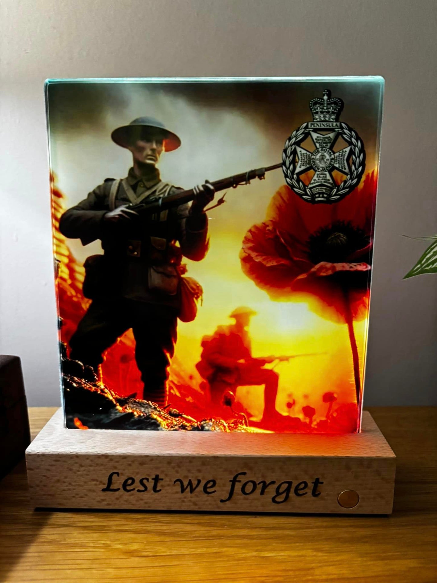 Lest we forget light up display