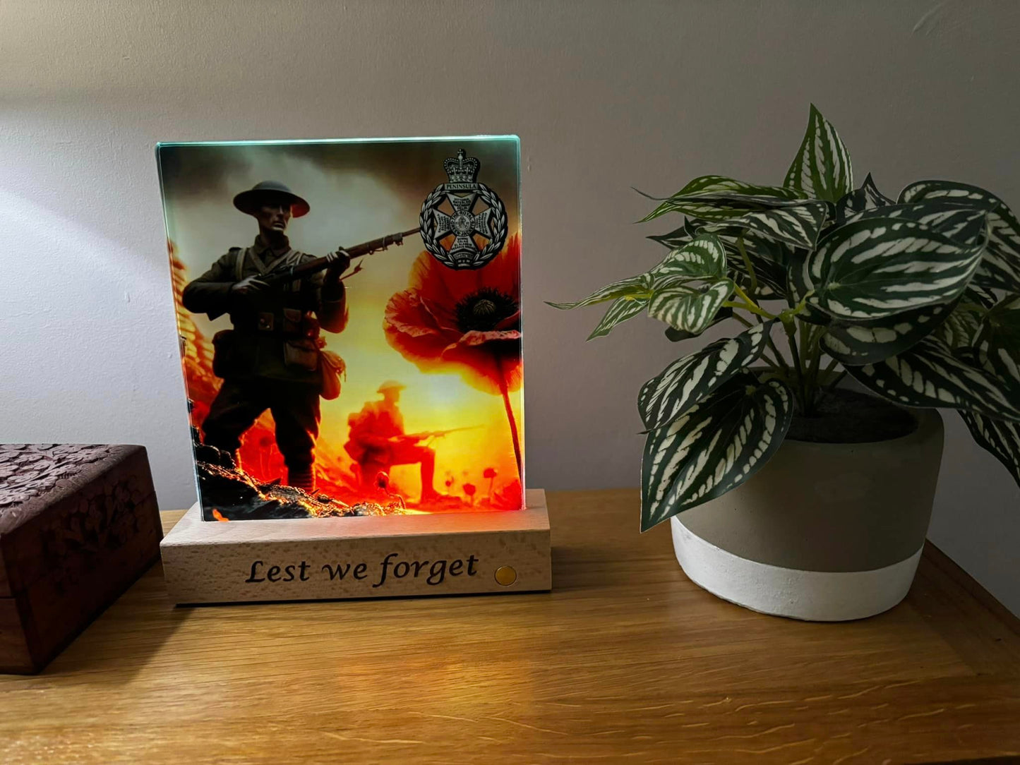 Lest we forget light up display