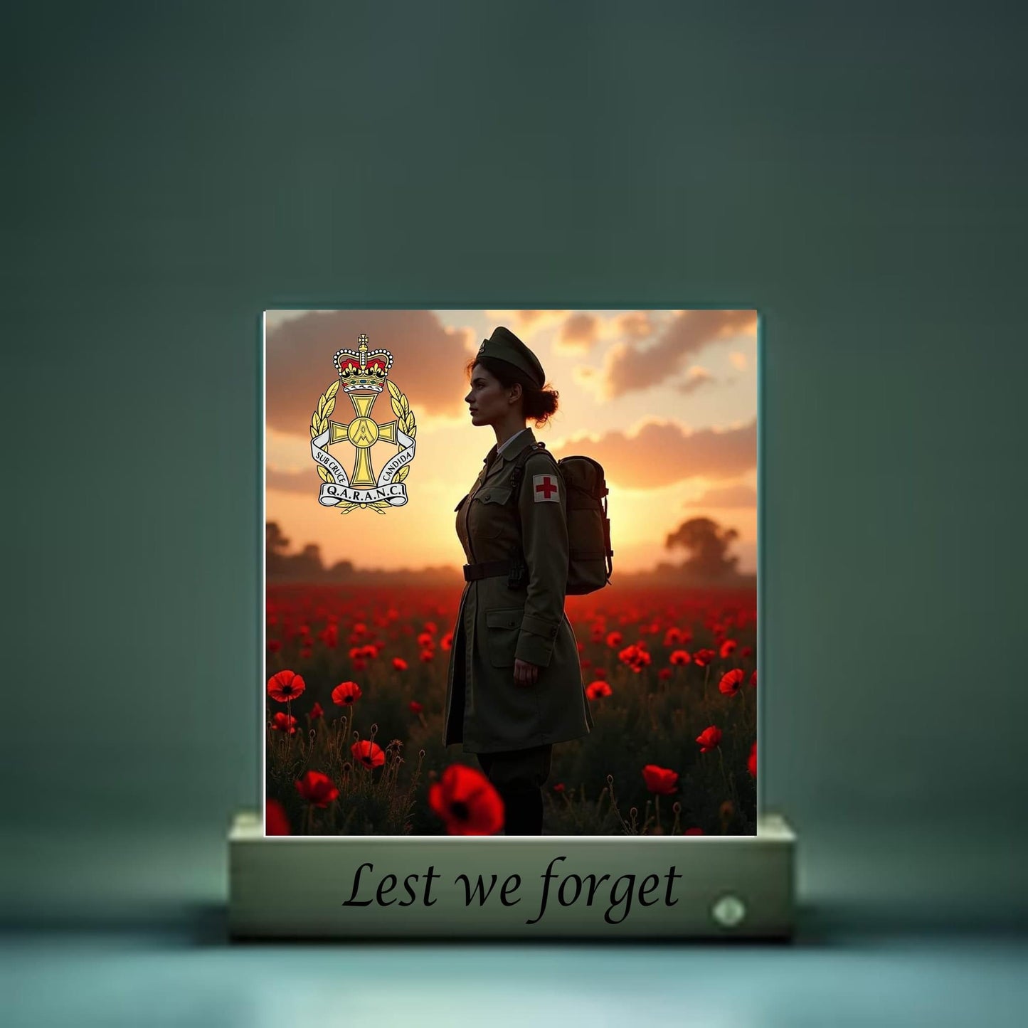 QARANC Lest we forget light up display